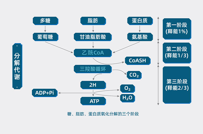 &#24320;&#20113;&#23448;&#26041;&#32593;&#39029;&#29256;&#45;&#24320;&#20113;&#65288;&#20013;&#22269;&#65289;